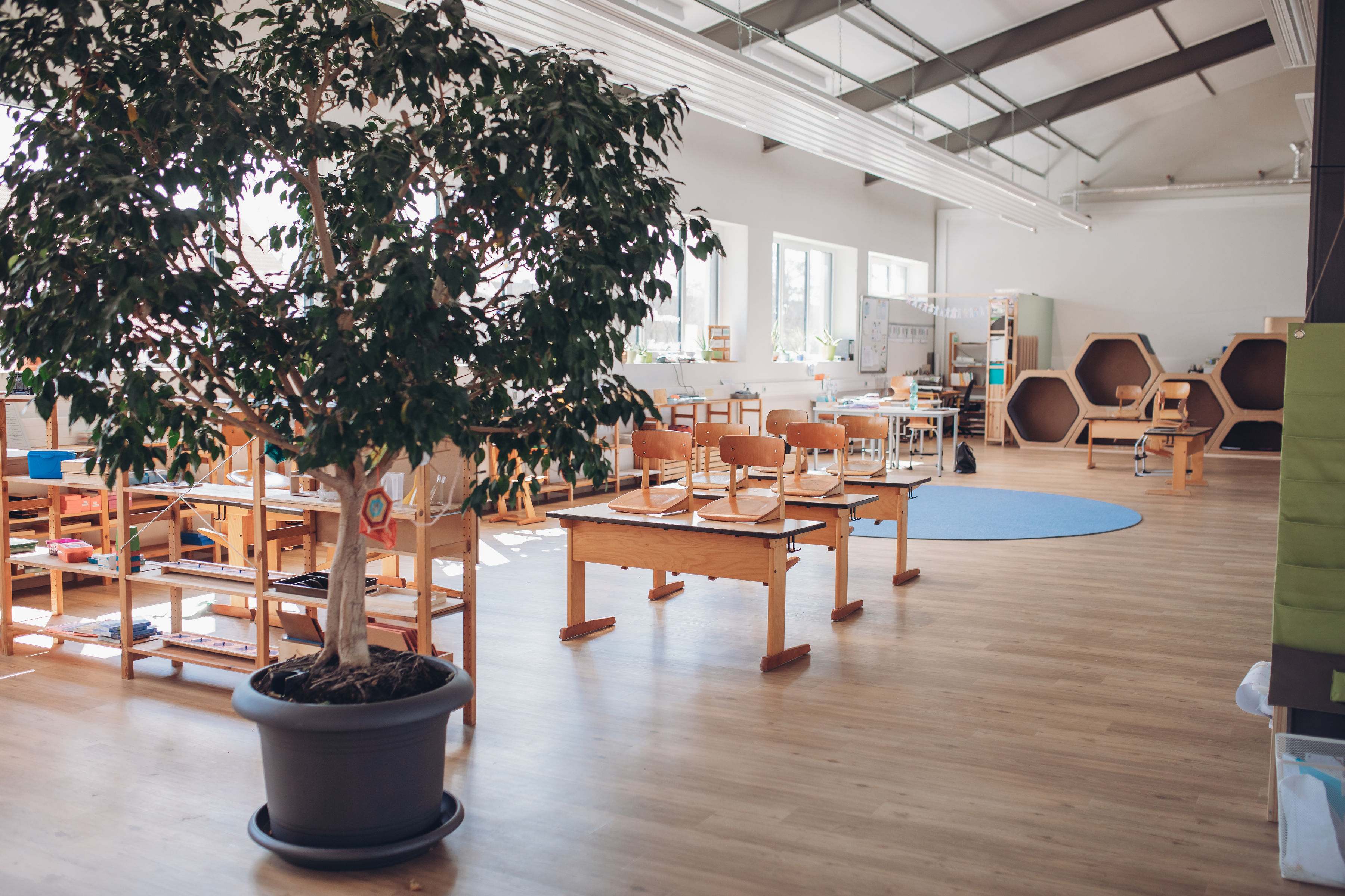 Schule